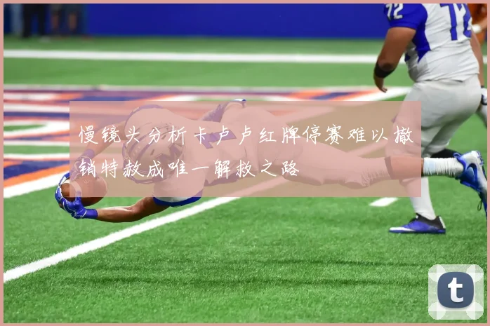 慢镜头分析卡卢卢红牌停赛难以撤销特赦成唯一解救之路