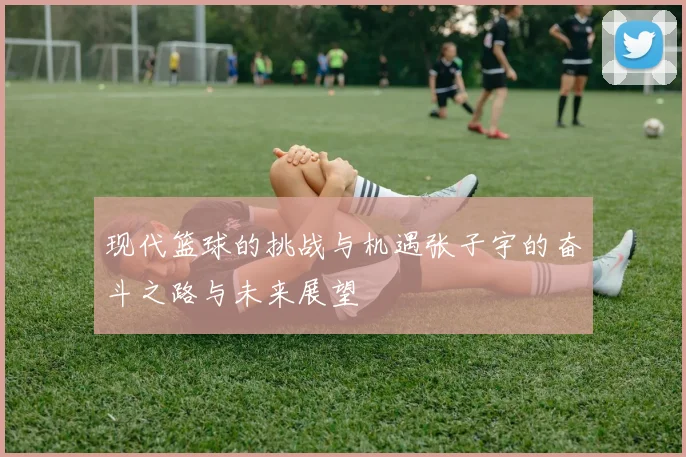 现代篮球的挑战与机遇张子宇的奋斗之路与未来展望