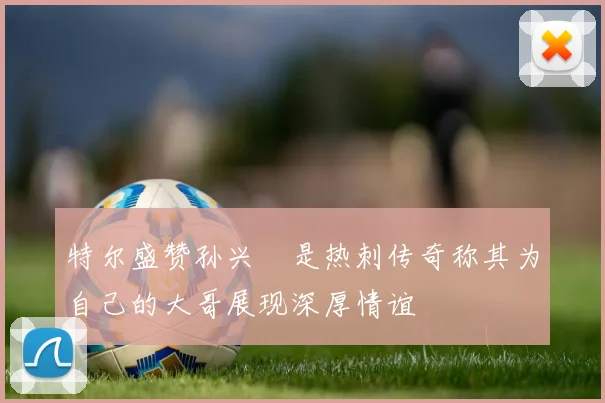 特尔盛赞孙兴慜是热刺传奇称其为自己的大哥展现深厚情谊